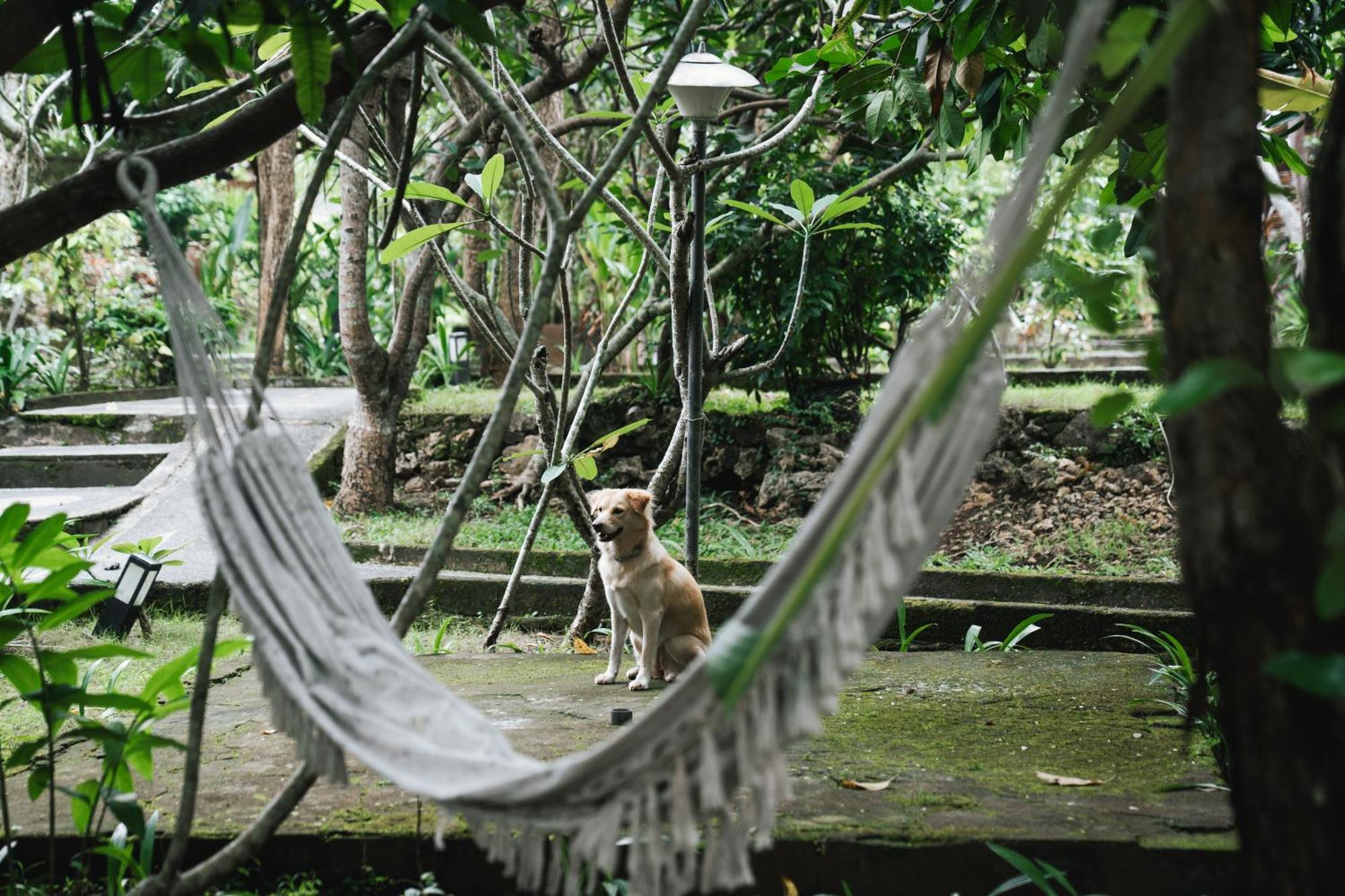 Olo Surf Nature Uluwatu  Ngoại thất bức ảnh